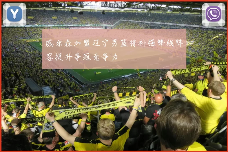 威尔森加盟辽宁男篮将补强锋线阵容提升争冠竞争力