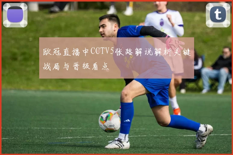 欧冠直播中CCTV5张路解说解析关键战局与晋级看点