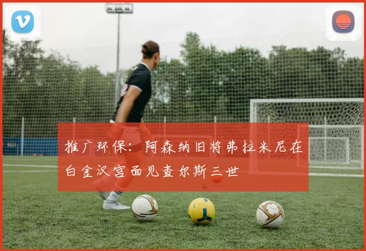 推广环保：阿森纳旧将弗拉米尼在白金汉宫面见查尔斯三世