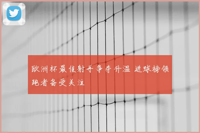 欧洲杯最佳射手争夺升温 进球榜领跑者备受关注