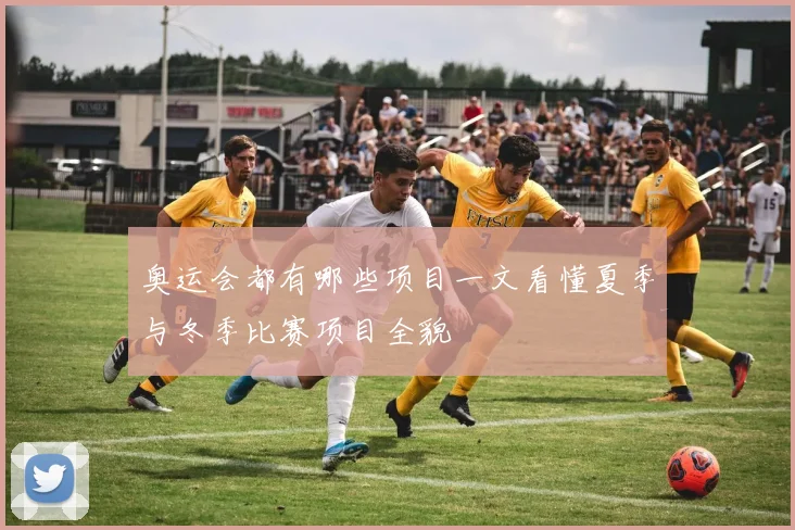 奥运会都有哪些项目一文看懂夏季与冬季比赛项目全貌